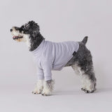 グンゼ パッチジャカード Tシャツ 小型犬 綿100% 犬服 ペット服 ペットウェア ドッグウェア 男の子 女の子 おしゃれ GARRR