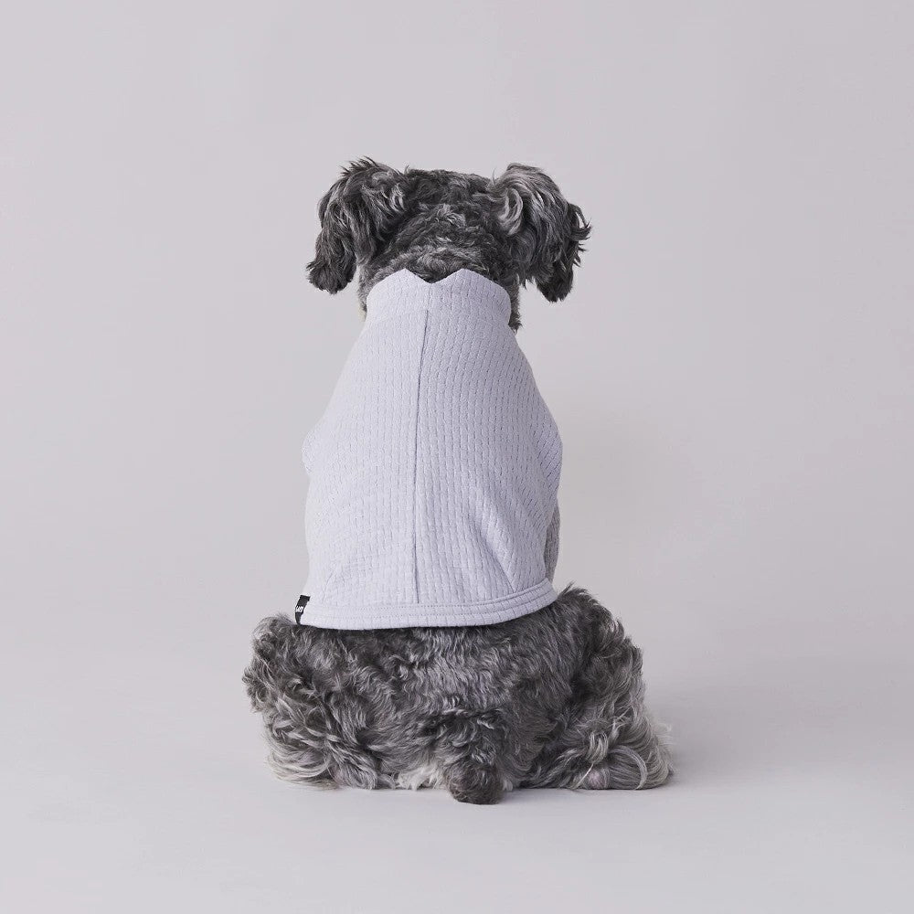 グンゼ パッチジャガード Tシャツ 小型犬 綿100% 犬服 ペット服 ペットウェア ドッグウェア 男の子 女の子 おしゃれ GARRR
