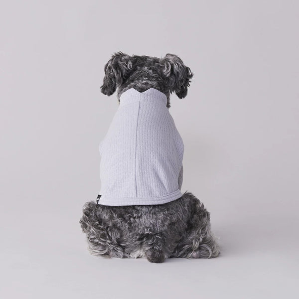 グンゼ パッチジャガード Tシャツ 小型犬 綿100% 犬服 ペット服 ペットウェア ドッグウェア 男の子 女の子 おしゃれ GARRR
