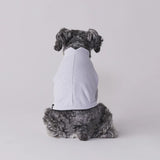 グンゼ パッチジャカード Tシャツ 小型犬 綿100% 犬服 ペット服 ペットウェア ドッグウェア 男の子 女の子 おしゃれ GARRR