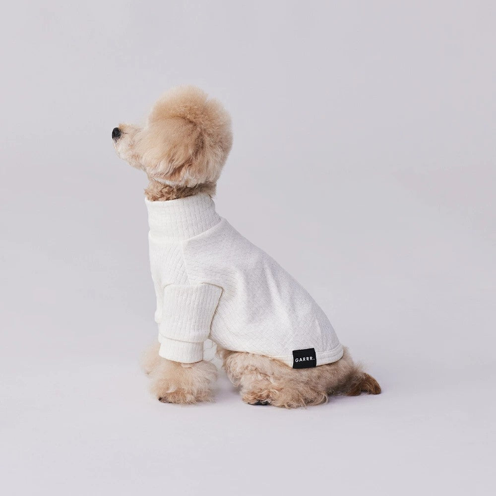 グンゼ パッチジャガード Tシャツ 小型犬 綿100% 犬服 ペット服 ペットウェア ドッグウェア 男の子 女の子 おしゃれ GARRR