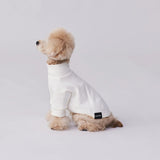 グンゼ パッチジャカード Tシャツ 小型犬 綿100% 犬服 ペット服 ペットウェア ドッグウェア 男の子 女の子 おしゃれ GARRR