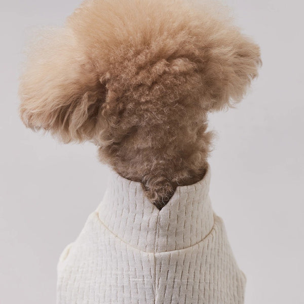 グンゼ パッチジャガード Tシャツ 小型犬 綿100% 犬服 ペット服 ペットウェア ドッグウェア 男の子 女の子 おしゃれ GARRR