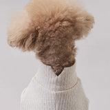 グンゼ パッチジャカード Tシャツ 小型犬 綿100% 犬服 ペット服 ペットウェア ドッグウェア 男の子 女の子 おしゃれ GARRR