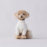 グンゼ パッチジャカード Tシャツ 小型犬 綿100% 犬服 ペット服 ペットウェア ドッグウェア 男の子 女の子 おしゃれ GARRR