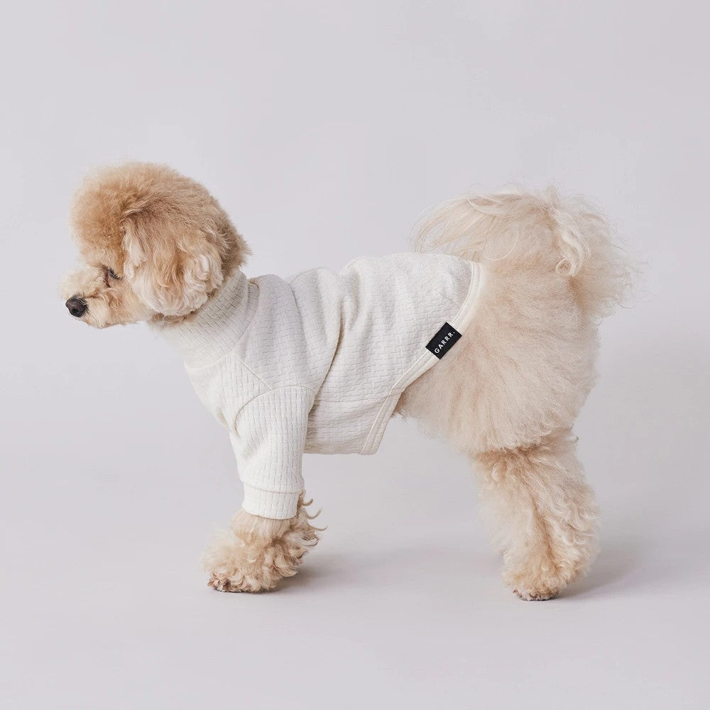 グンゼ パッチジャガード Tシャツ 小型犬 綿100% 犬服 ペット服 ペットウェア ドッグウェア 男の子 女の子 おしゃれ GARRR