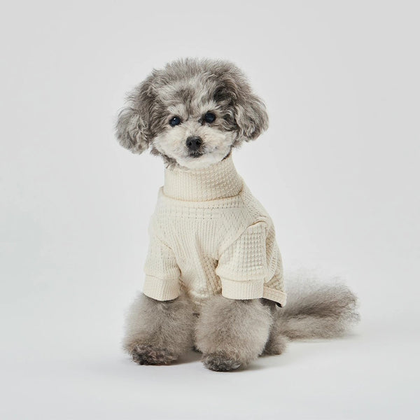 グンゼ モンドリアンジャガード Tシャツ 小型犬 綿100% 犬服 ペット服 ペットウェア ドッグウェア 男の子 女の子 おしゃれ GARRR