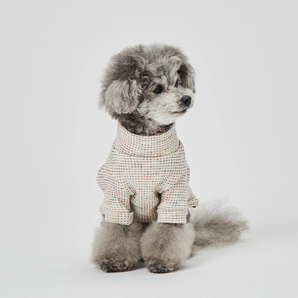 グンゼ キッキーニット Tシャツ 小型犬 綿100% 犬服 ペット服 ペットウェア ドッグウェア 男の子 女の子 おしゃれ GARRR