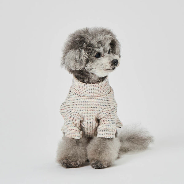 グンゼ キッキーニット Tシャツ 小型犬 綿100% 犬服 ペット服 ペットウェア ドッグウェア 男の子 女の子 おしゃれ GARRR