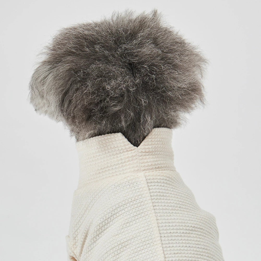 グンゼ ポップコーンニット Tシャツ 小型犬 綿100% 犬服 ペット服 ペットウェア ドッグウェア 男の子 女の子 おしゃれ GARRR