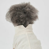 グンゼ ポップコーンニット Tシャツ 小型犬 綿100% 犬服 ペット服 ペットウェア ドッグウェア 男の子 女の子 おしゃれ GARRR