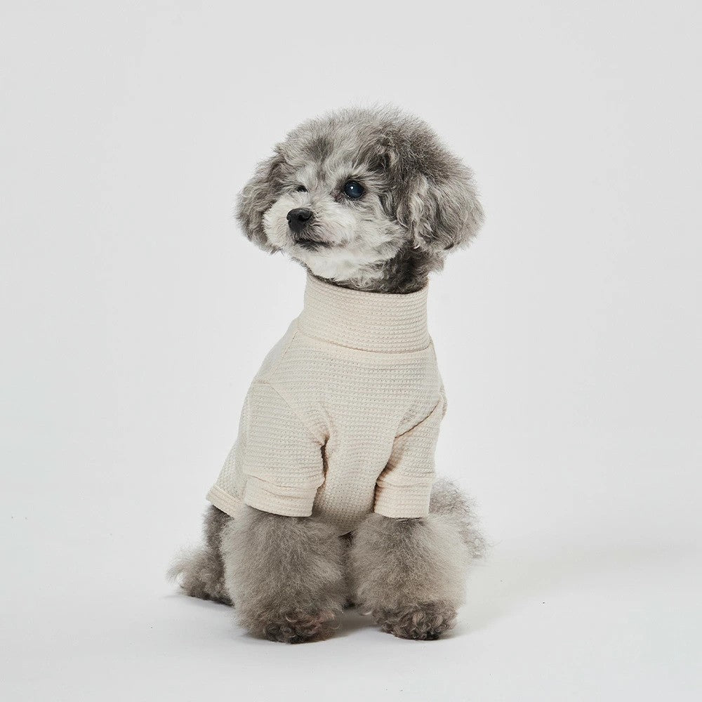 グンゼ ポップコーンニット Tシャツ 小型犬 綿100% 犬服 ペット服 ペットウェア ドッグウェア 男の子 女の子 おしゃれ GARRR