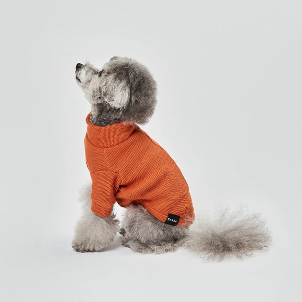 グンゼ ピササーマル Tシャツ 小型犬 綿100% 犬服 ペット服 ペットウェア ドッグウェア 男の子 女の子 おしゃれ GARRR