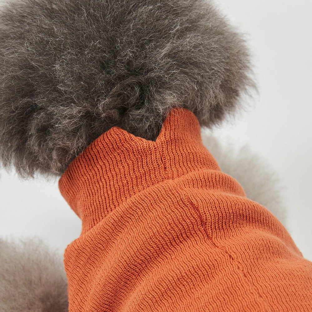 グンゼ ピササーマル Tシャツ 小型犬 綿100% 犬服 ペット服 ペットウェア ドッグウェア 男の子 女の子 おしゃれ GARRR
