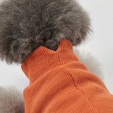 グンゼ ピササーマル Tシャツ 小型犬 綿100% 犬服 ペット服 ペットウェア ドッグウェア 男の子 女の子 おしゃれ GARRR
