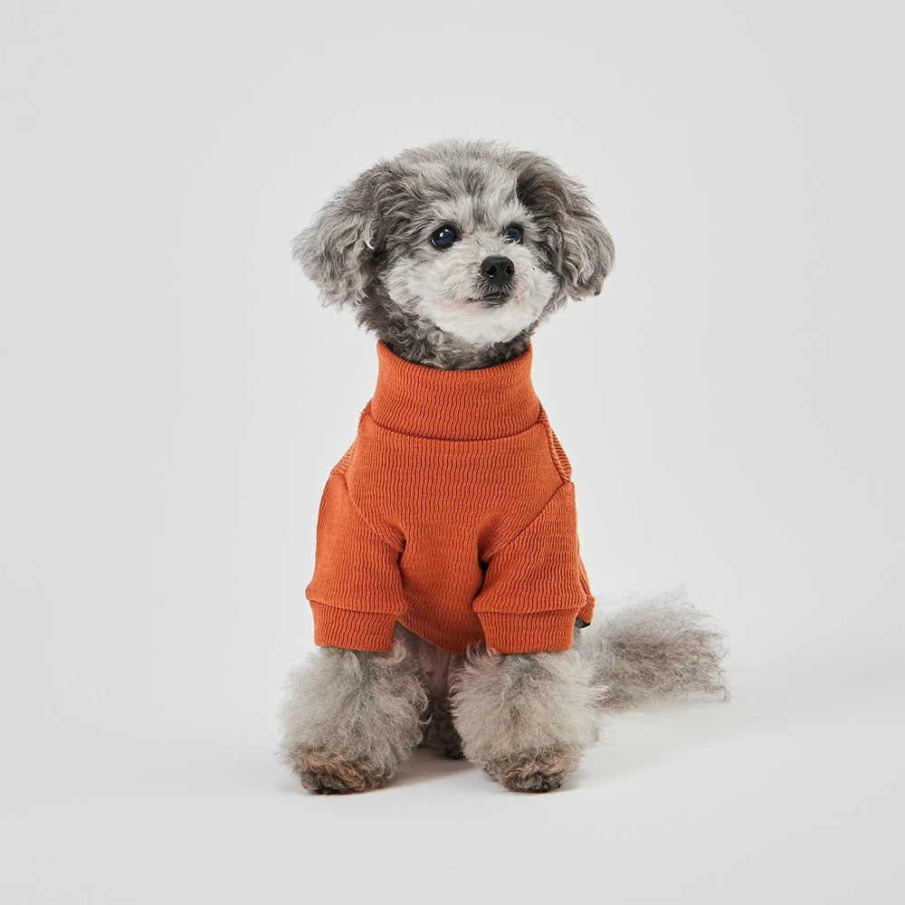 グンゼ ピササーマル Tシャツ 小型犬 綿100% 犬服 ペット服 ペットウェア ドッグウェア 男の子 女の子 おしゃれ GARRR