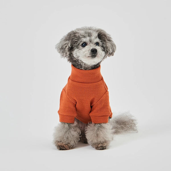 グンゼ ピササーマル Tシャツ 小型犬 綿100% 犬服 ペット服 ペットウェア ドッグウェア 男の子 女の子 おしゃれ GARRR