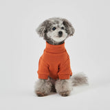 グンゼ ピササーマル Tシャツ 小型犬 綿100% 犬服 ペット服 ペットウェア ドッグウェア 男の子 女の子 おしゃれ GARRR