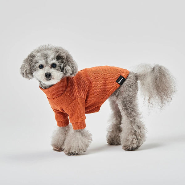 グンゼ ピササーマル Tシャツ 小型犬 綿100% 犬服 ペット服 ペットウェア ドッグウェア 男の子 女の子 おしゃれ GARRR