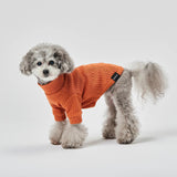 グンゼ ピササーマル Tシャツ 小型犬 綿100% 犬服 ペット服 ペットウェア ドッグウェア 男の子 女の子 おしゃれ GARRR