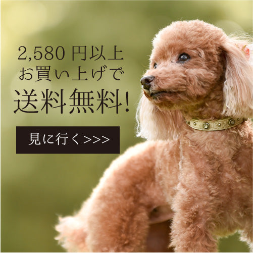 ウィズ・ワン公式ストア – ウィズ・ワン公式ストア【with WaN】
