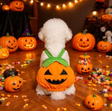 ウィズワン ハロウィン 犬 かぼちゃパンツ パンプキン ハロウィーン イベント 猫 犬服 おしゃれ 男の子 女の子 with WaN