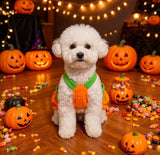 ウィズワン ハロウィン 犬 かぼちゃパンツ パンプキン ハロウィーン イベント 猫 犬服 おしゃれ 男の子 女の子 with WaN