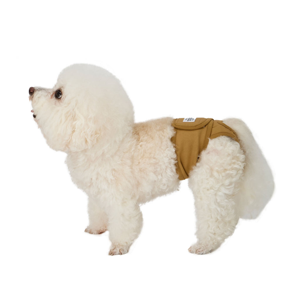 マンダリンブラザーズ マナーパンツ メス 女の子 パンツ ドッグウェア 犬服 犬 おしゃれ MANDARINE BROTHERS
