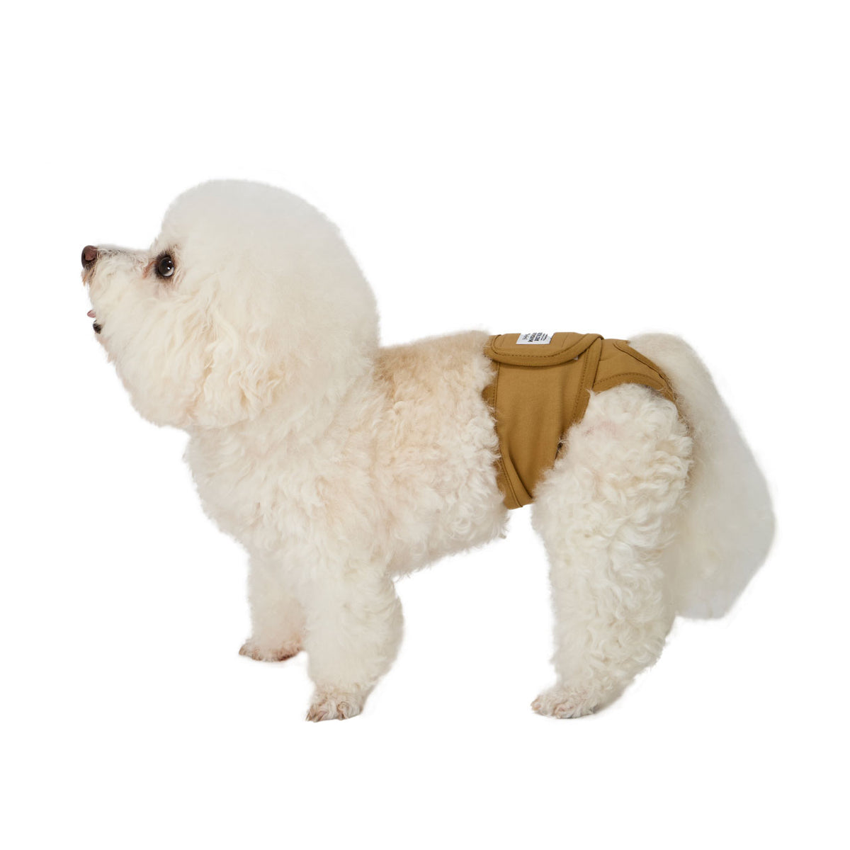 マンダリンブラザーズ マナーパンツ メス 女の子 パンツ ドッグウェア 犬服 犬 おしゃれ MANDARINE BROTHERS