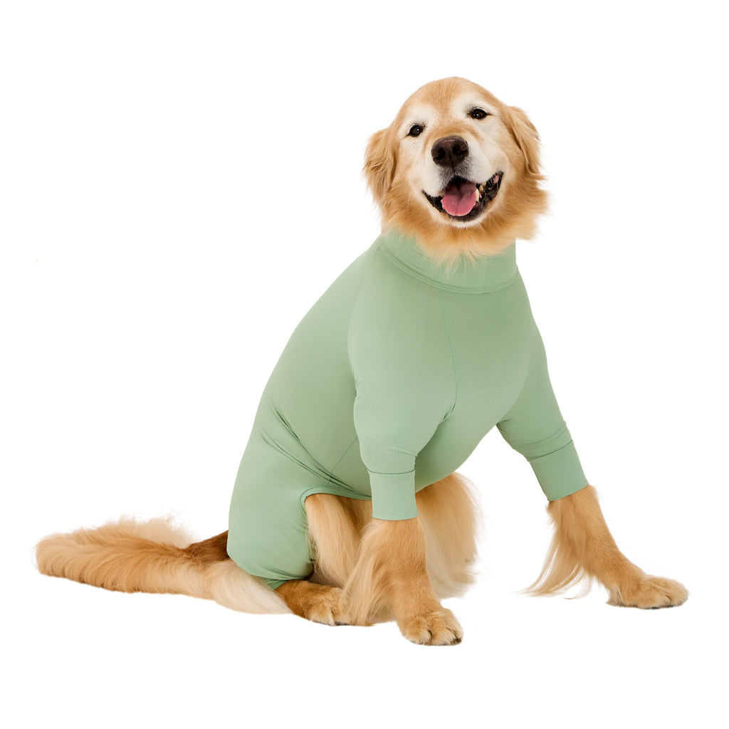 マンダリンブラザーズ 接触冷感 防虫 インセクトシールドスキンタイトスーツ クール ロンパース ドッグウェア 犬服 男の子 女の子 おしゃれ MANDARINE BROTHERS