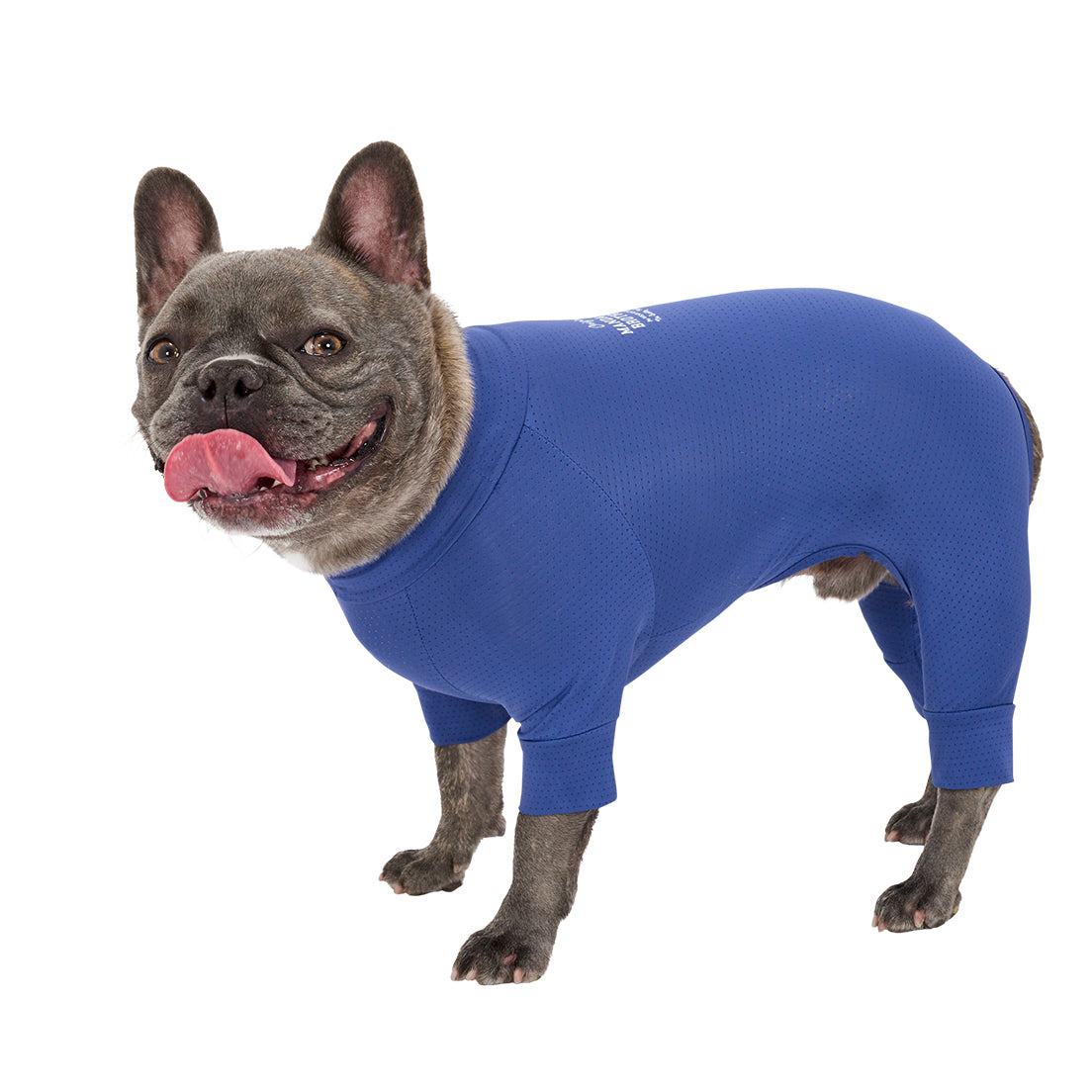 マンダリンブラザーズ 接触冷感 防虫 インセクトシールドスキンタイトスーツ クール ロンパース ドッグウェア 犬服 男の子 女の子 おしゃれ MANDARINE BROTHERS