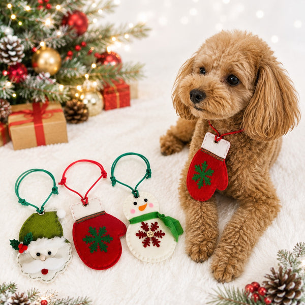 ウィズワン クリスマス チョーカー コスチューム ハンドメイド アクセサリー イベント 犬 猫 男の子 女の子 おしゃれ with WaN