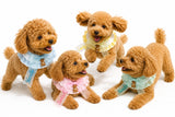 ウィズワン お名前入り うちの子スタイ つけ襟 ビブ アクセサリー 愛犬のお名前入り ハンドメイド 手作り 犬 猫 男の子 女の子 おしゃれ with WaN