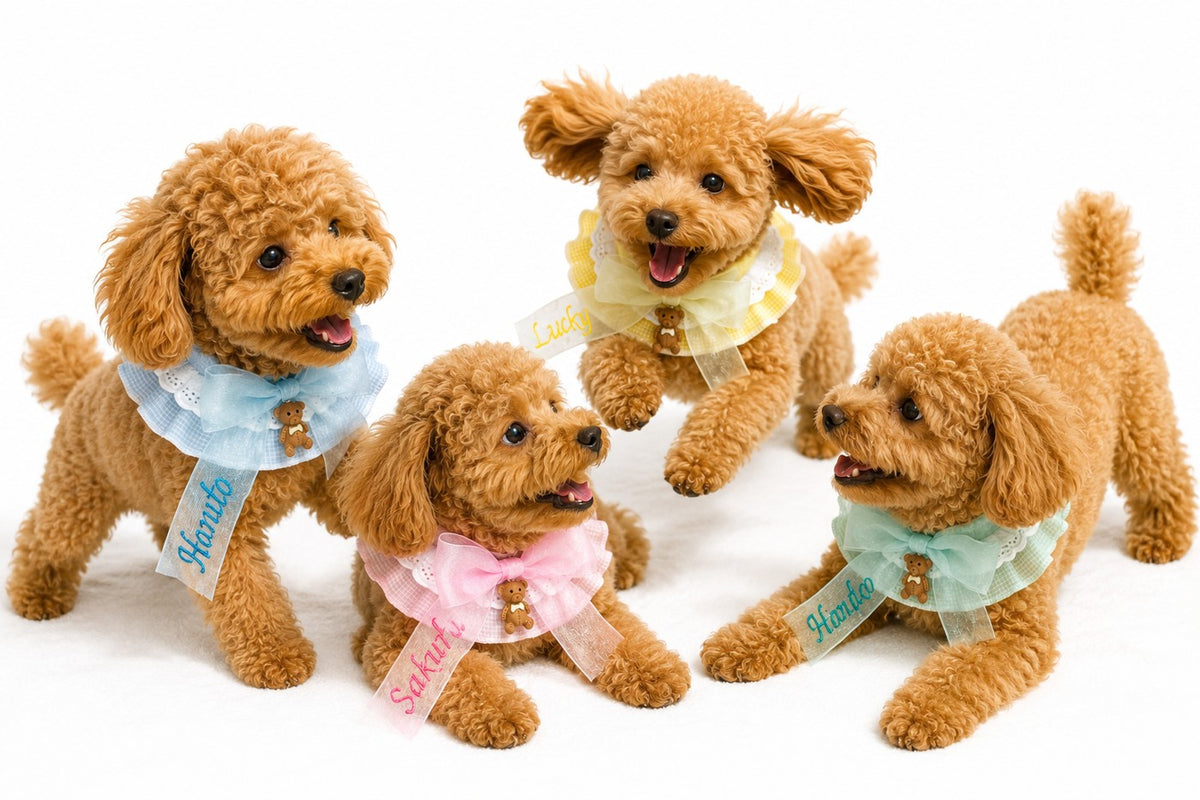 ウィズワン うちの子 名前入り スタイ ビブ バンダナ アクセサリー ハンドメイド 犬 猫 男の子 女の子 おしゃれ with WaN メイン画像