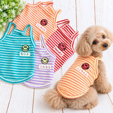 ウィズワン うちの子 名前入り Tシャツ タンクトップ ハンドメイド 犬 猫 男の子 女の子 おしゃれ with WaN