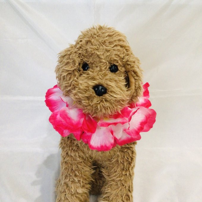 ウィズワン フラワーレイ 首飾り 花飾り フラダンス イベント コスチューム アクセサリー ハンドメイド 犬服 男の子 女の子 おしゃれ with WaN