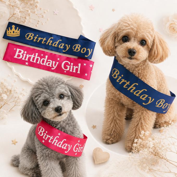 ウィズワン 誕生日 襷 たすき タスキ タペストリー イベント コスチューム ハンドメイド 犬服 男の子 女の子 おしゃれ with WaN