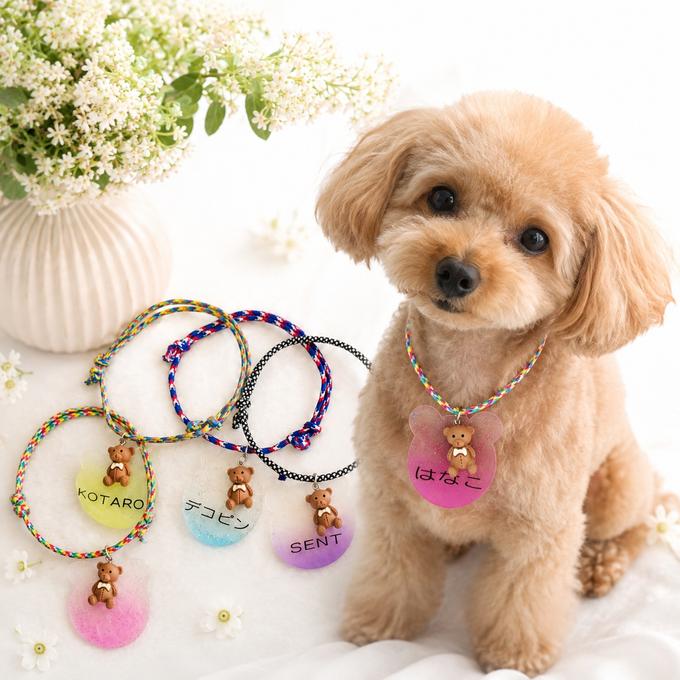ウィズワン うちの子 名前入り チョーカー 迷子札 くま テディベア ハンドメイド アクセサリー 犬 猫 男の子 女の子 おしゃれ with WaN メイン画像