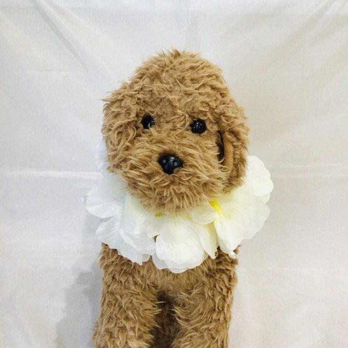 ウィズワン フラワーレイ 首飾り 花飾り フラダンス イベント コスチューム アクセサリー ハンドメイド 犬服 男の子 女の子 おしゃれ with WaN