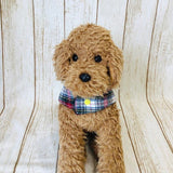 ウィズワン パジャマ 着る毛布 ベスト リバーシブル らくらくワン ハンドメイド 秋冬 犬服 男の子 女の子 おしゃれ with WaN