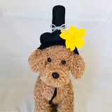 ウィズワン お内裏様 お雛様 なりきりカチューシャ ウィッグ アクセサリー  被り物 ひな祭り 撮影小物 イベント 犬 猫 男の子 女の子 おしゃれ with WaN