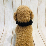 ウィズワン ハロウィン ぽんぽんチョーカー コスチューム ハンドメイド ハロウィーン アクセサリー イベント 犬 猫 男の子 女の子 おしゃれ with WaN