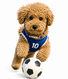 ウィズワン お名前入り うちの子 日本代表 応援グッズ チョーカー サムライブルー イベント 愛犬のお名前入り ハンドメイド 手作り アクセサリー 手作り 男の子 女の子 おしゃれ with WaN