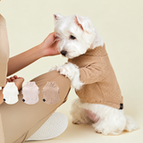 グンゼ モンドリアンジャガード Tシャツ 小型犬 綿100% 犬服 ペット服 ペットウェア ドッグウェア 男の子 女の子 おしゃれ GARRR