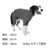 マンダリンブラザーズ スキンタイトスーツ XL-5L ロンパース つなぎ ドッグウェア 犬服 男の子 女の子 おしゃれ MANDARINE BROTHERS