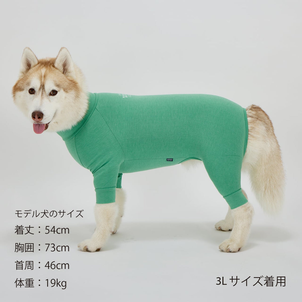 マンダリンブラザーズ XS-L スキンタイトスーツ ロンパース つなぎ ドッグウェア 犬服 男の子 女の子 おしゃれ MANDARINE BROTHERS