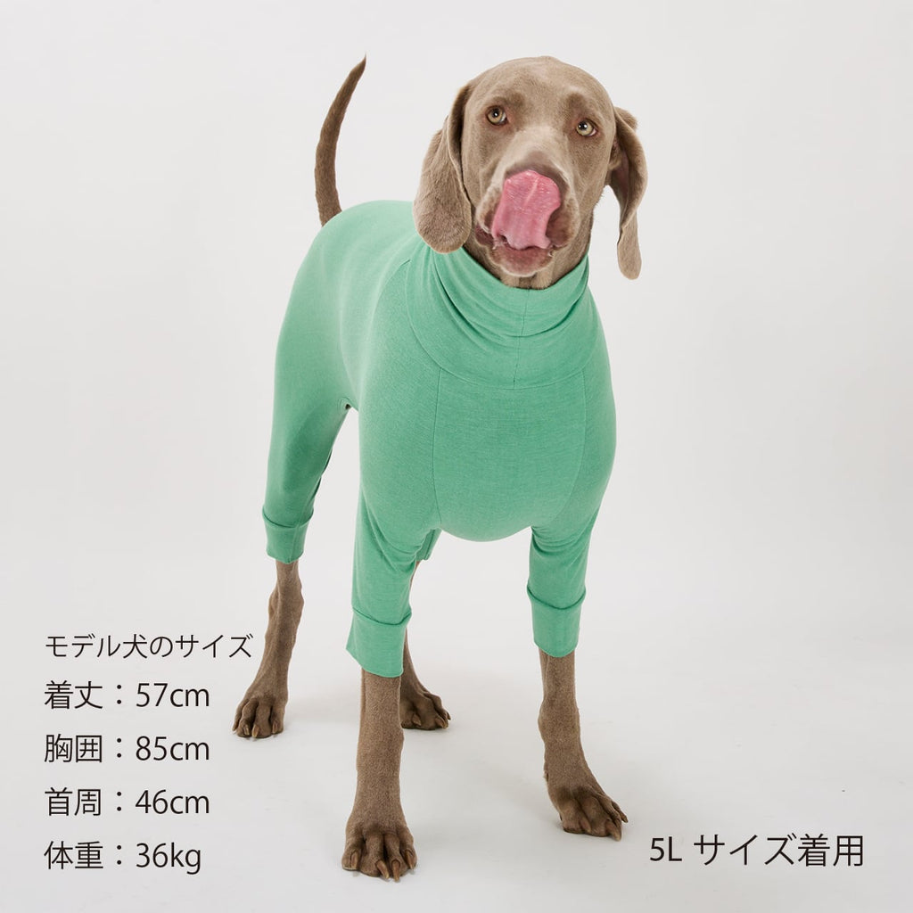 マンダリンブラザーズ XS-L スキンタイトスーツ ロンパース つなぎ ドッグウェア 犬服 男の子 女の子 おしゃれ MANDARINE BROTHERS