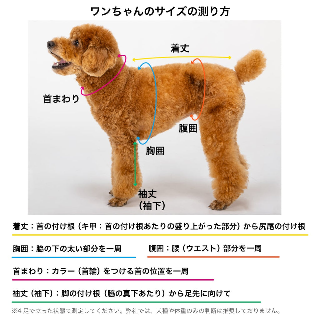 マンダリンブラザーズ XS-L スキンタイトスーツ ロンパース つなぎ ドッグウェア 犬服 男の子 女の子 おしゃれ MANDARINE BROTHERS