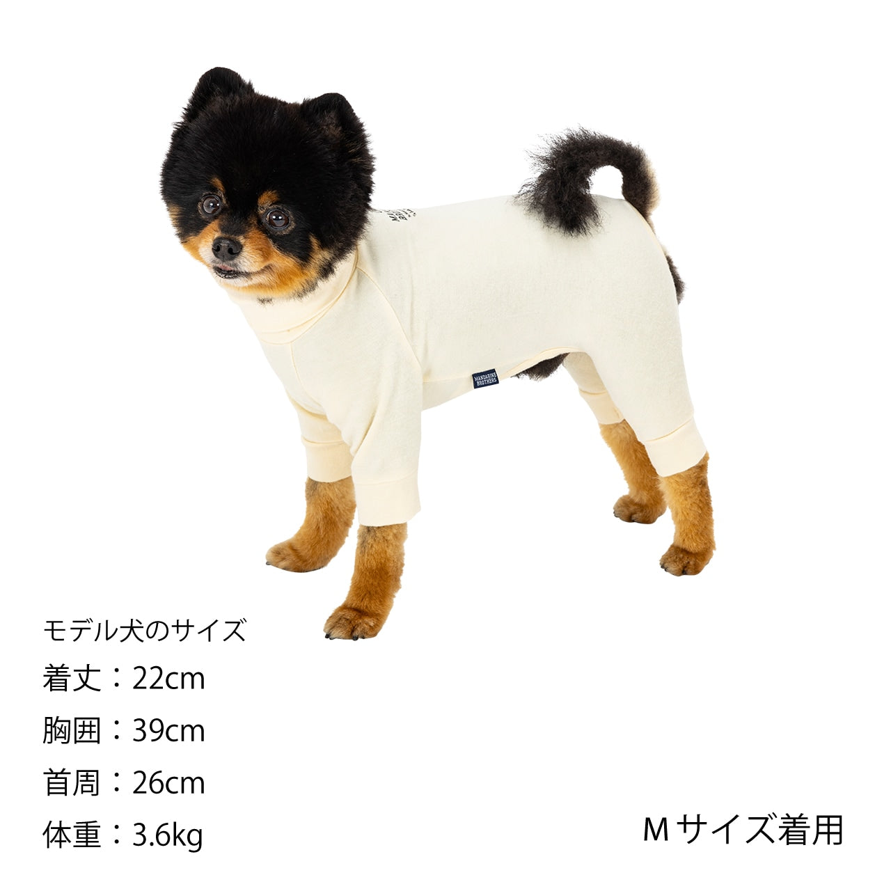 ロンハーマン　犬　ウェア RH California Dog Hoodie New Release News｜Ron Herman