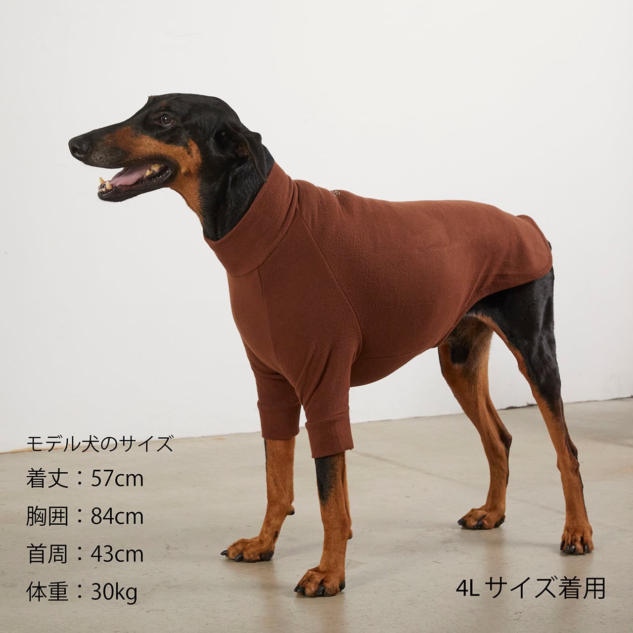 海外最新 【L】スキンタイトウォームTシャツ ブルーグレー 犬の服